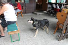 DUV-Puchheim_Sommerfest-2024_47