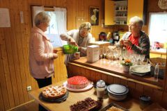 deutsch-ungarischer-verein_Sommerfest_2025_IMG_1454