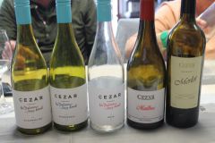 Deutsch-Ungarischer-Verein_Puchheim_Zalakaros_2023_IMG_6983